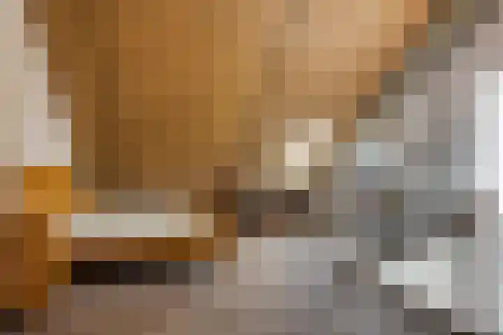 Kattendoorn 8 Driel thumbnail 39