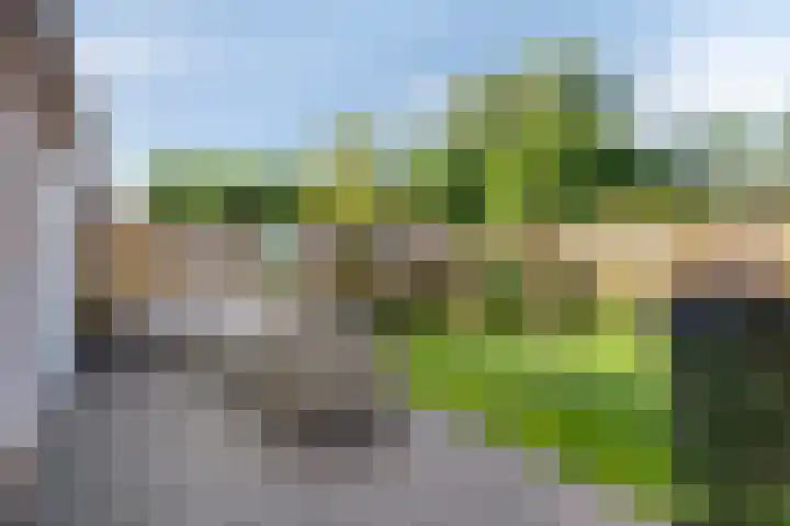 Kattendoorn 8 Driel thumbnail 42