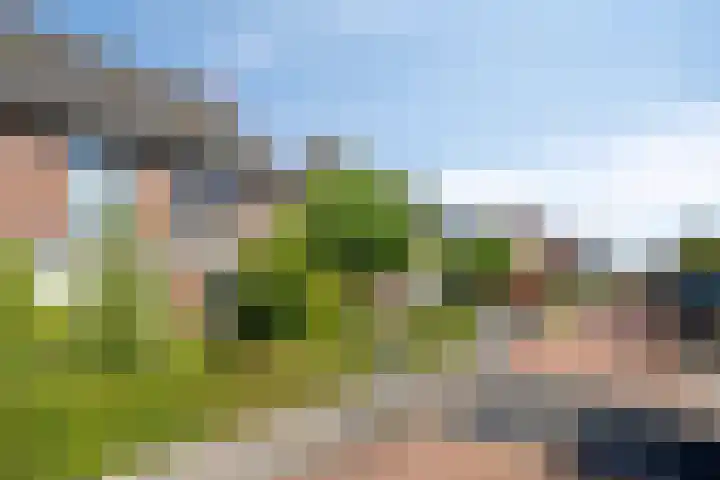 Kattendoorn 8 Driel thumbnail 45