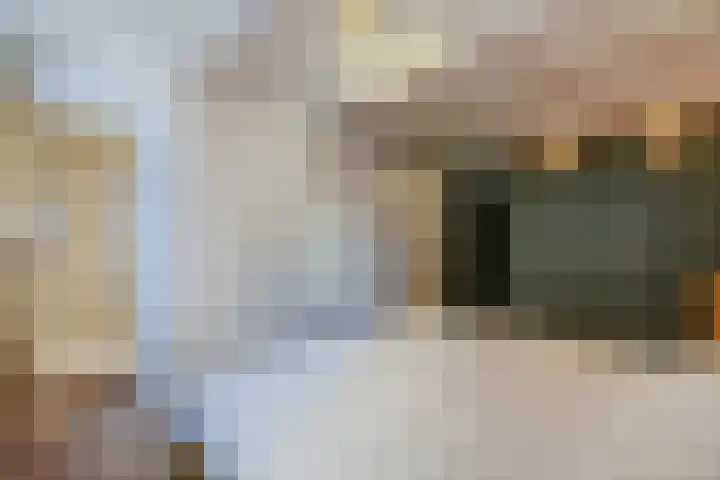 Kattengat 2 C Amsterdam thumbnail 12
