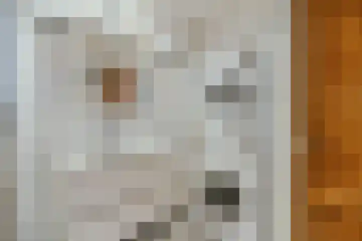 Kattengat 2 C Amsterdam thumbnail 14