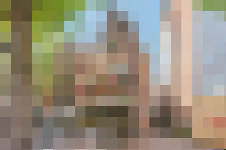 Kattengat 2 C Amsterdam thumbnail 19