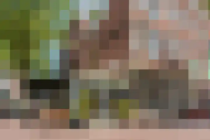 Kattengat 2 C Amsterdam thumbnail 21