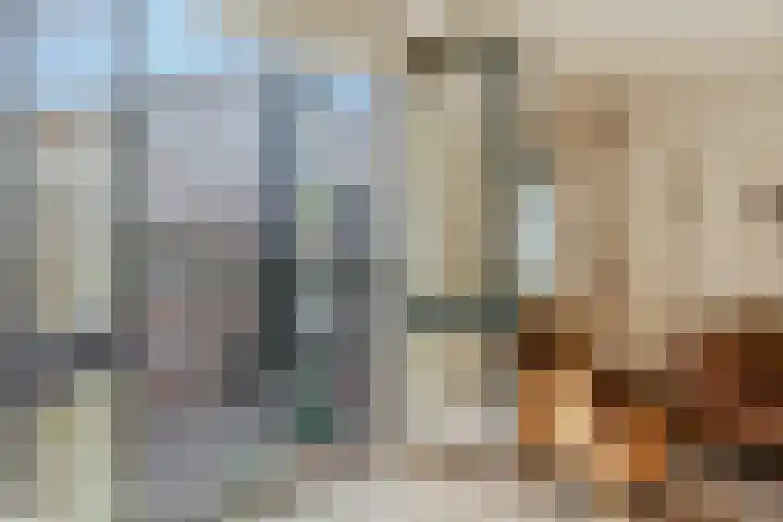 Kattengat 2 C Amsterdam thumbnail 4