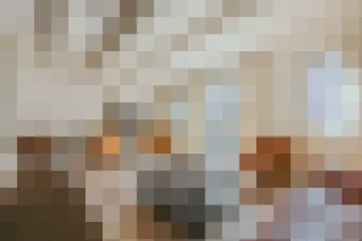 Kattengat 2 C Amsterdam thumbnail 6