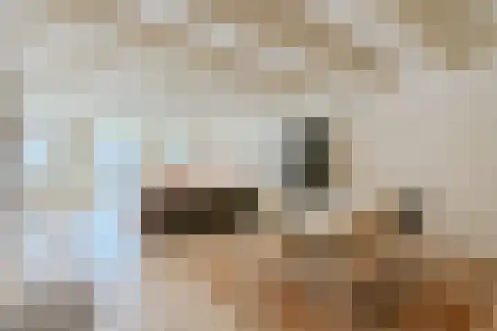 Kattengat 2 C Amsterdam thumbnail 7