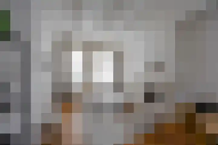 Kattenhage 14 Groningen thumbnail 11