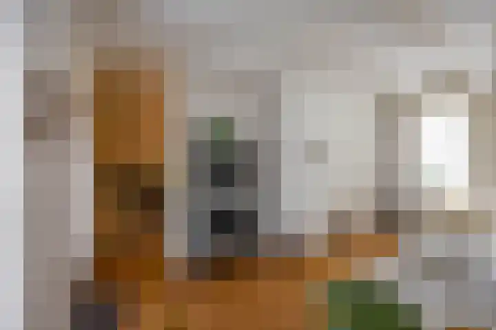 Kattenhage 14 Groningen thumbnail 12