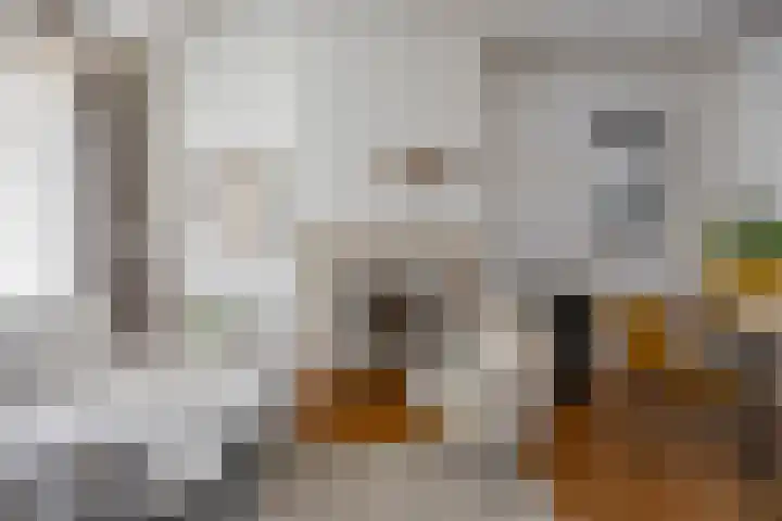 Kattenhage 14 Groningen thumbnail 13