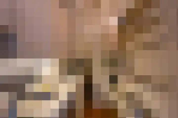 Kattenhage 14 Groningen thumbnail 16