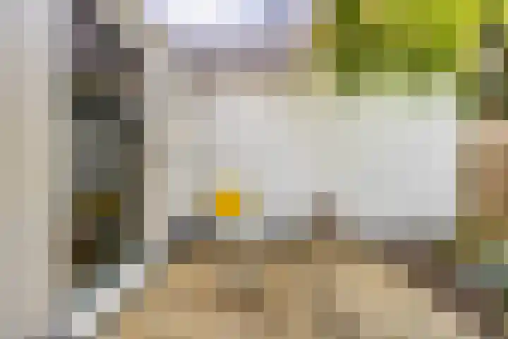 Kattenhage 14 Groningen thumbnail 19