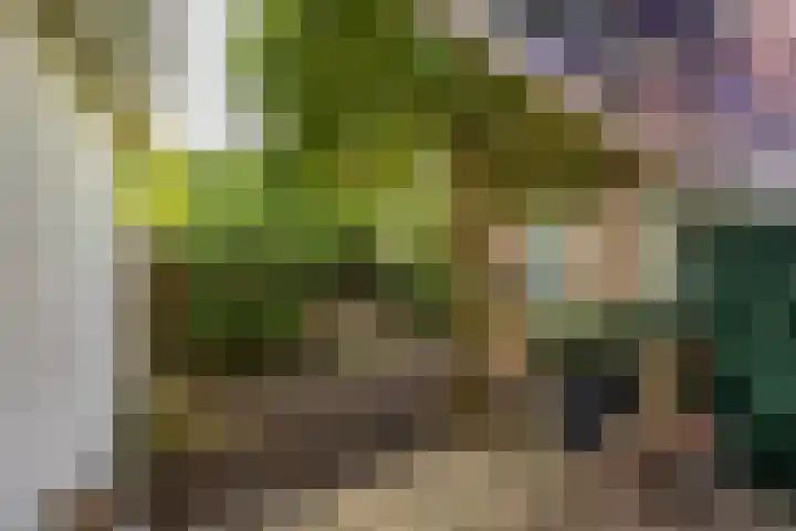 Kattenhage 14 Groningen thumbnail 20