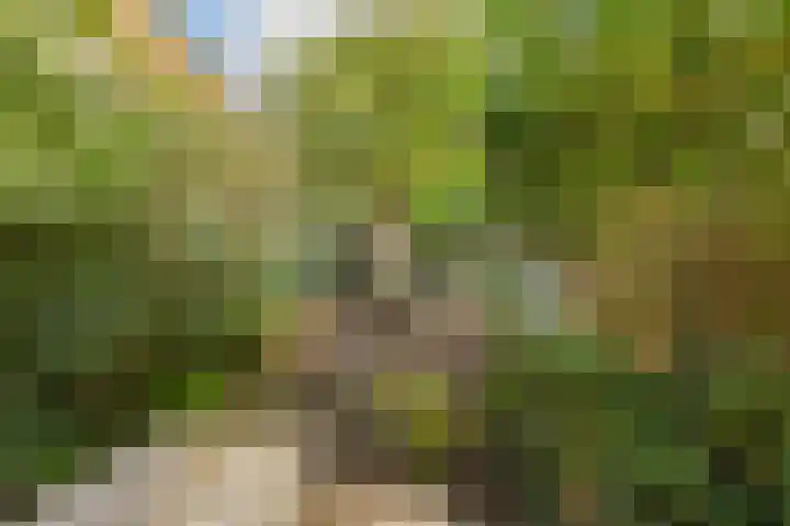 Kattenhage 14 Groningen thumbnail 21