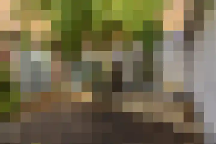 Kattenhage 14 Groningen thumbnail 22