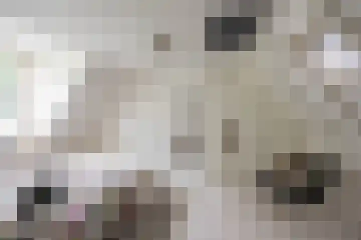 Kattenhage 14 Groningen thumbnail 27