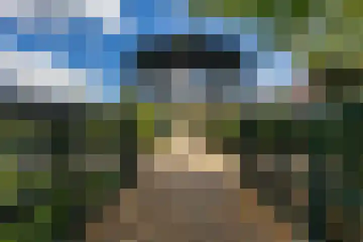 Kattenhage 14 Groningen thumbnail 34