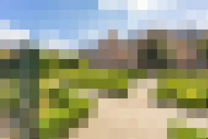 Kattenhage 14 Groningen thumbnail 35