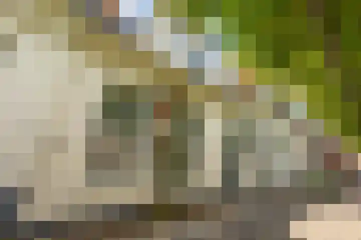 Kattenhage 14 Groningen thumbnail 5
