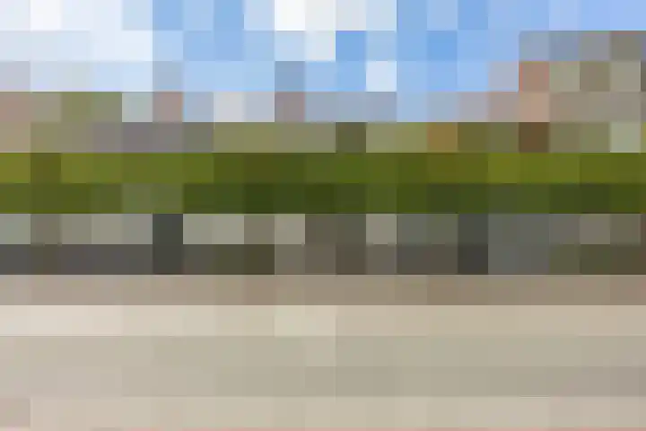 Kattenhage 14 Groningen thumbnail 6