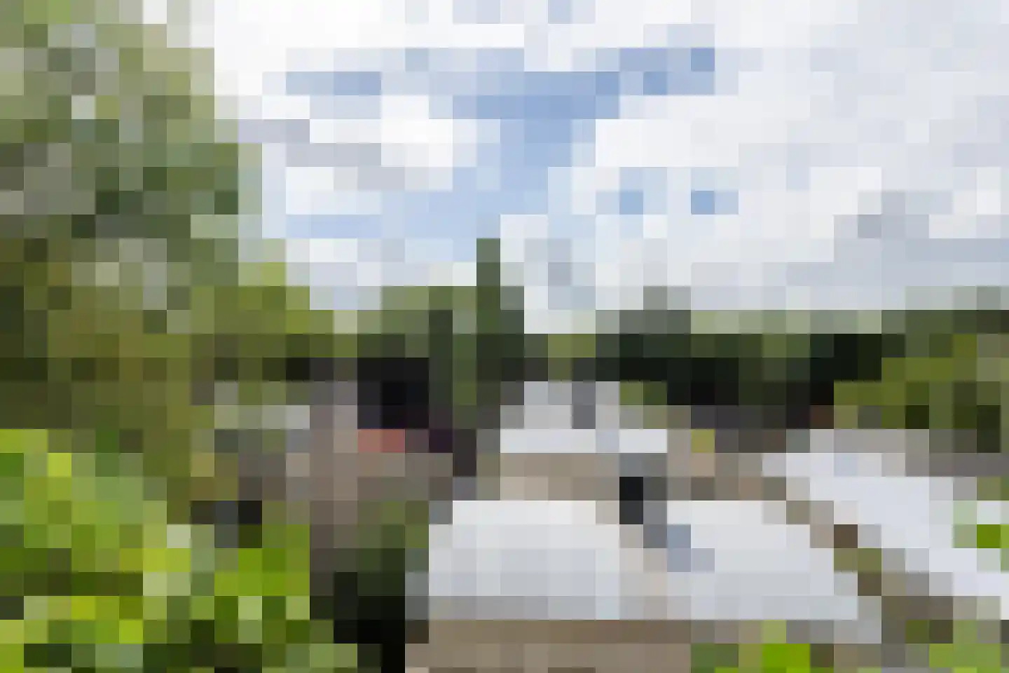 Kattenlaan 56 Amsterdam thumbnail 14