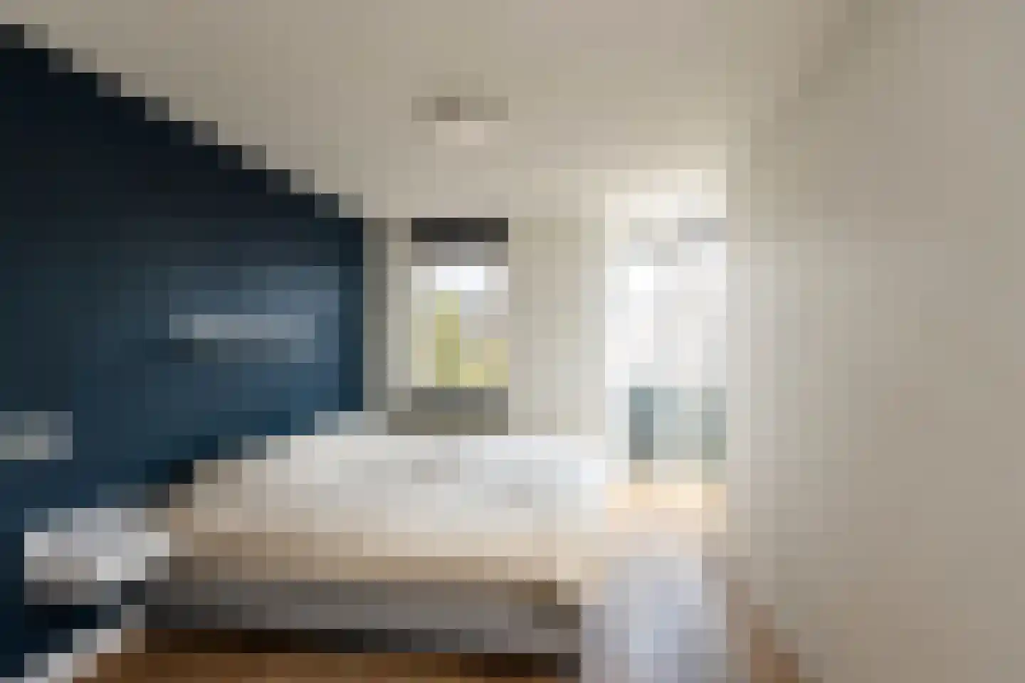 Kattenlaan 56 Amsterdam thumbnail 17