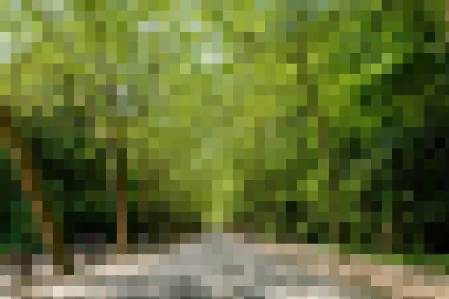 Kattenlaan 56 Amsterdam thumbnail 26