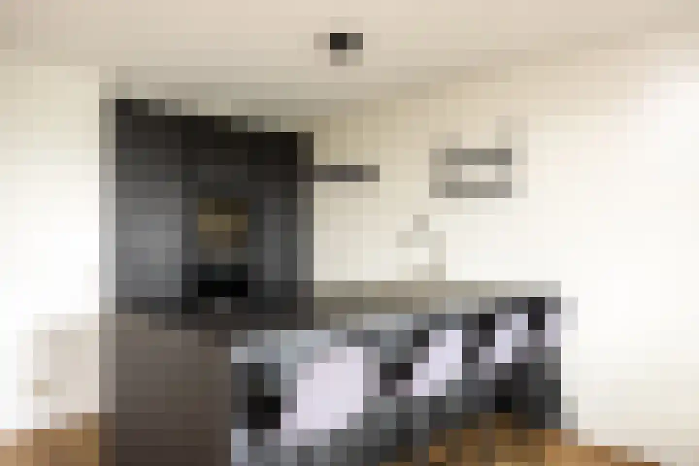 Kattenlaan 56 Amsterdam thumbnail 5
