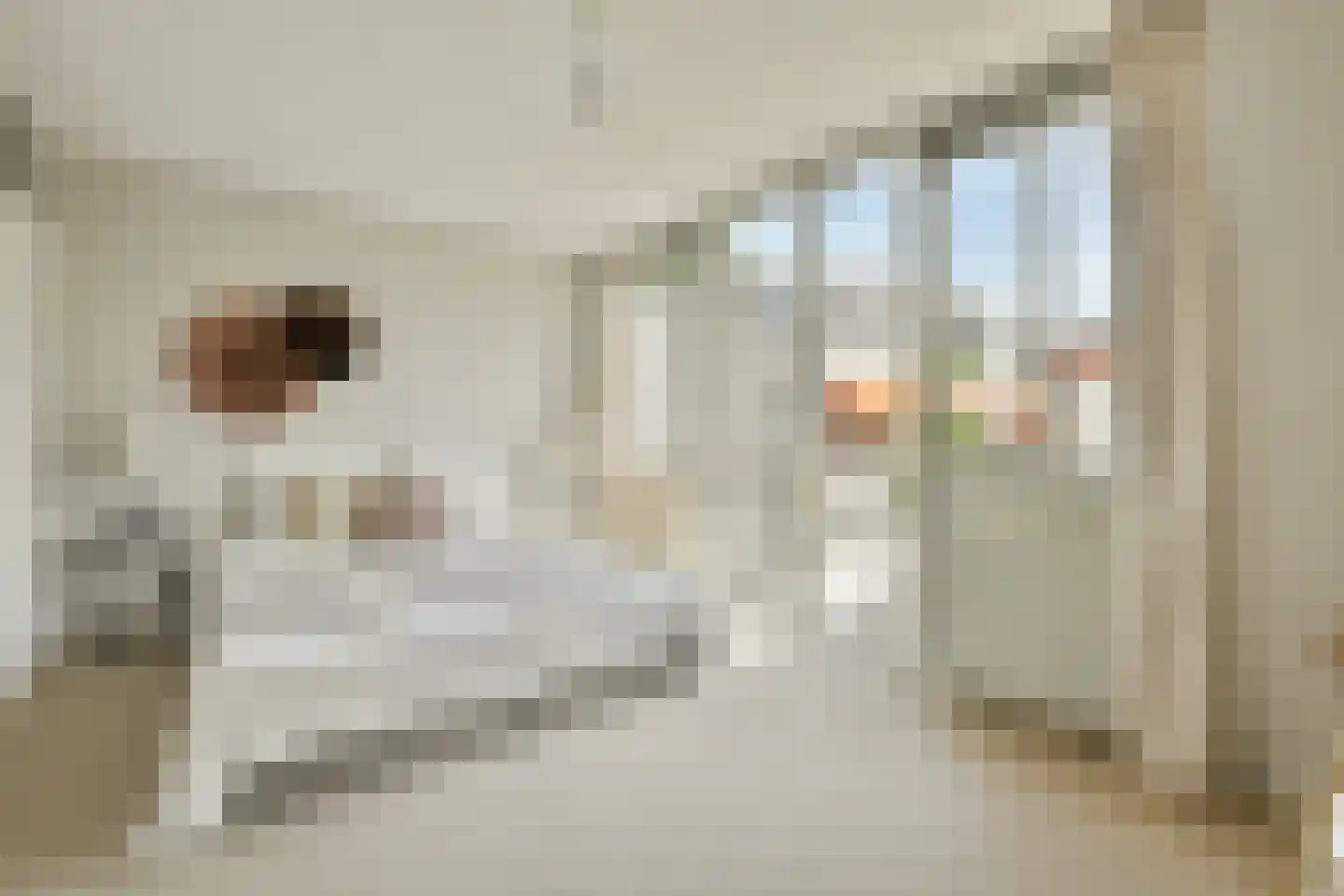 Kattenlaan 66 Amsterdam thumbnail 29