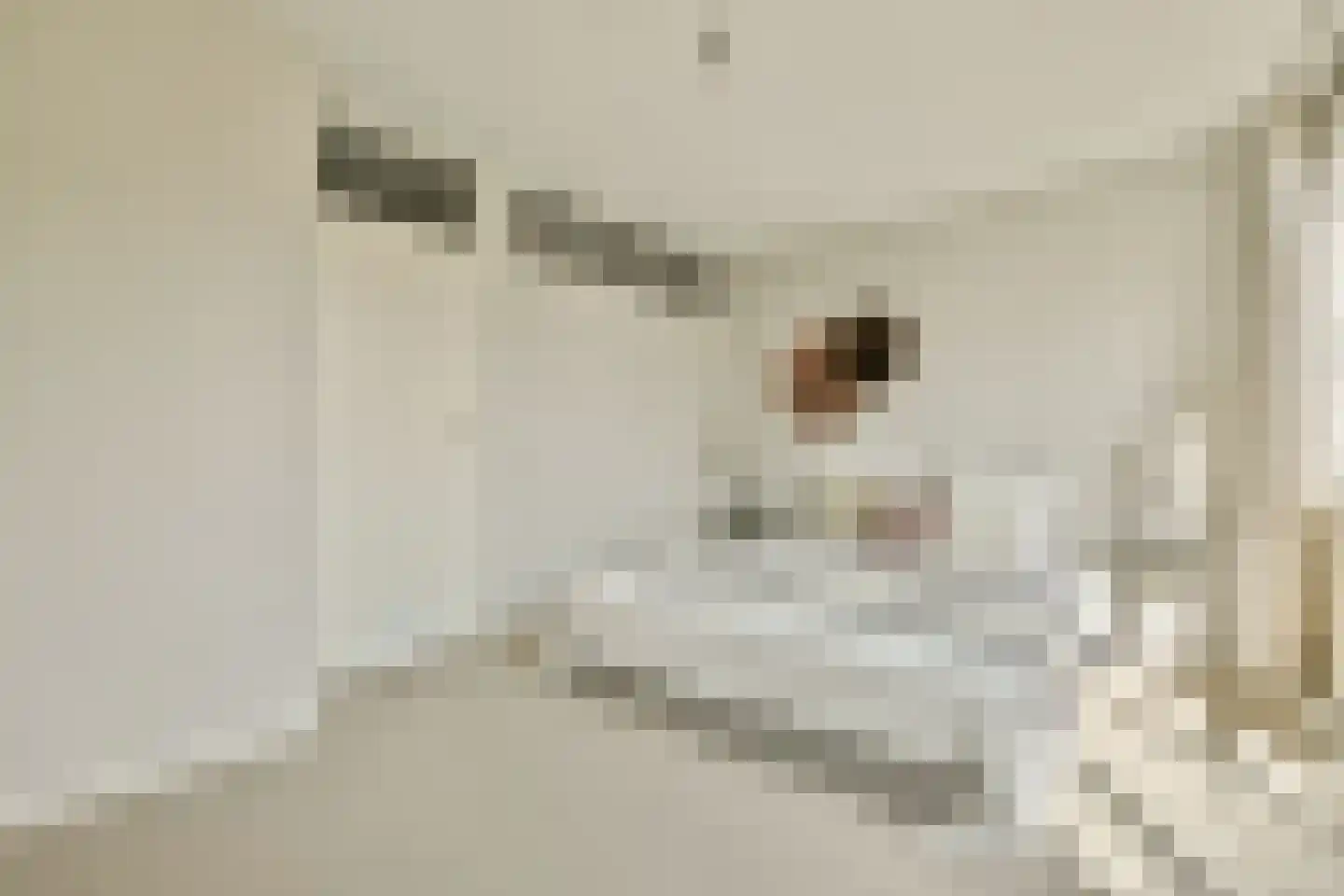 Kattenlaan 66 Amsterdam thumbnail 30