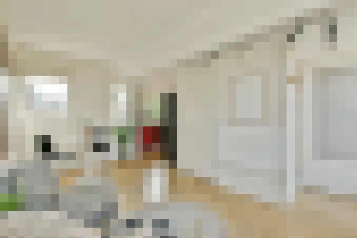Kattenlaan 66 Amsterdam thumbnail 36