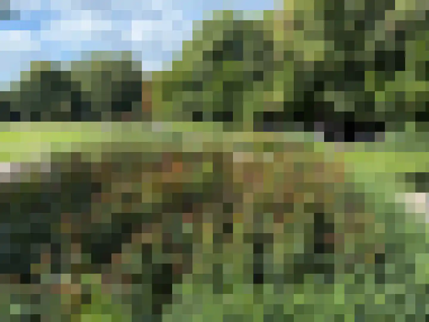 Kattenlaan 66 Amsterdam thumbnail 44