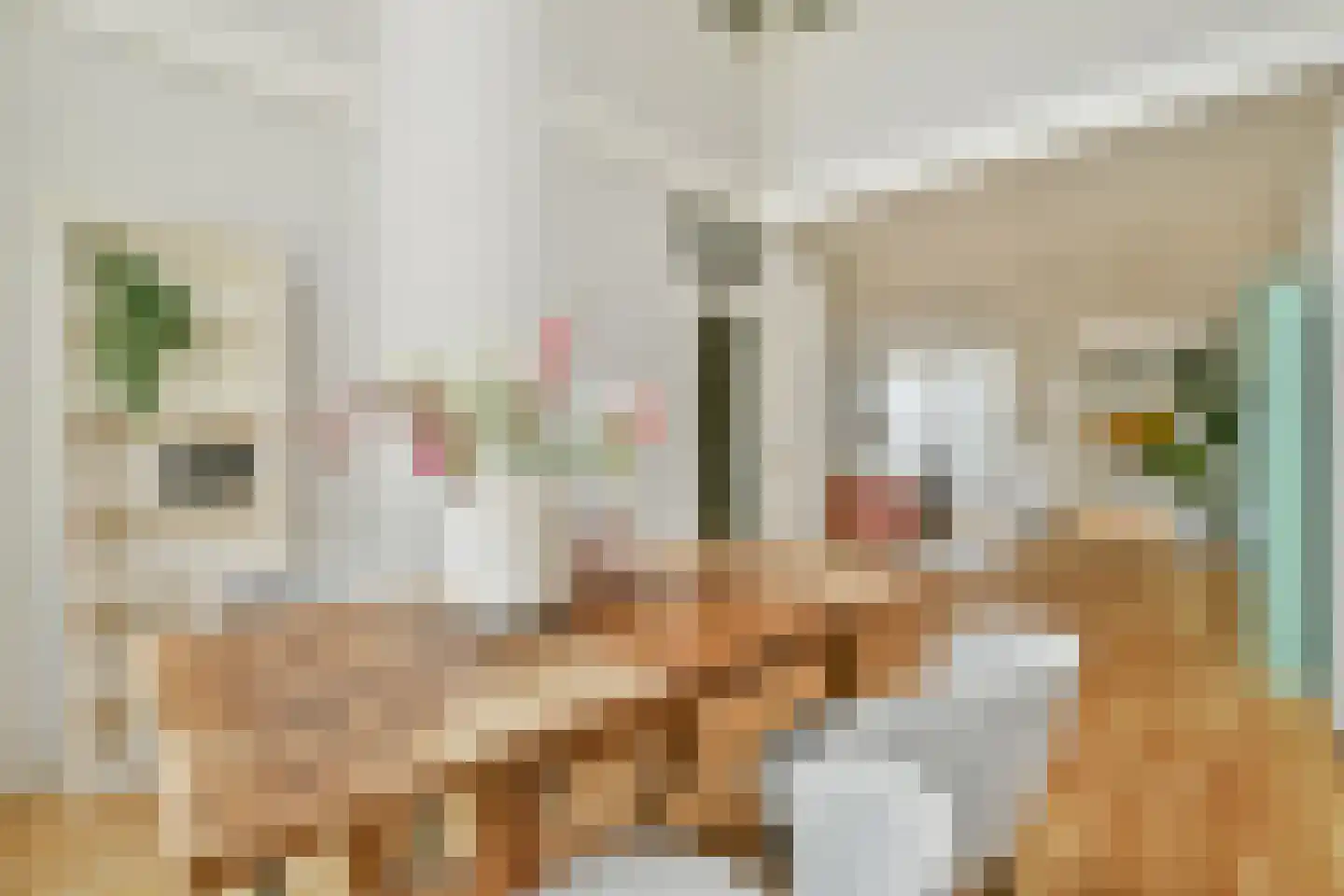 Kattenlaan 66 Amsterdam thumbnail 8