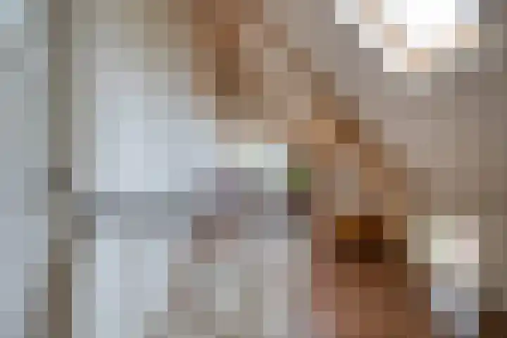 Kattensingel 46 Gouda thumbnail 41