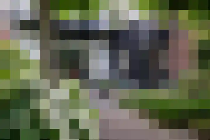 Kattensingel 46 Gouda thumbnail 52
