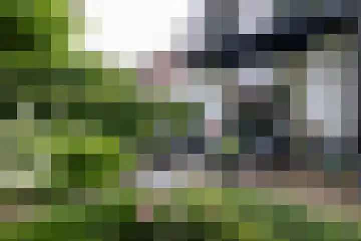 Kattensingel 46 Gouda thumbnail 53