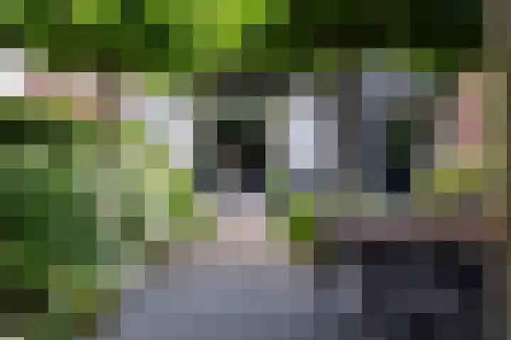 Kattensingel 46 Gouda thumbnail 55