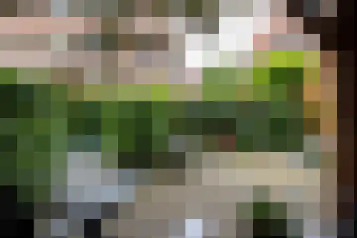 Kattensingel 46 Gouda thumbnail 56