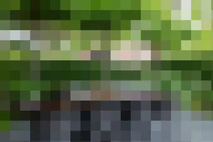 Kattensingel 46 Gouda thumbnail 59
