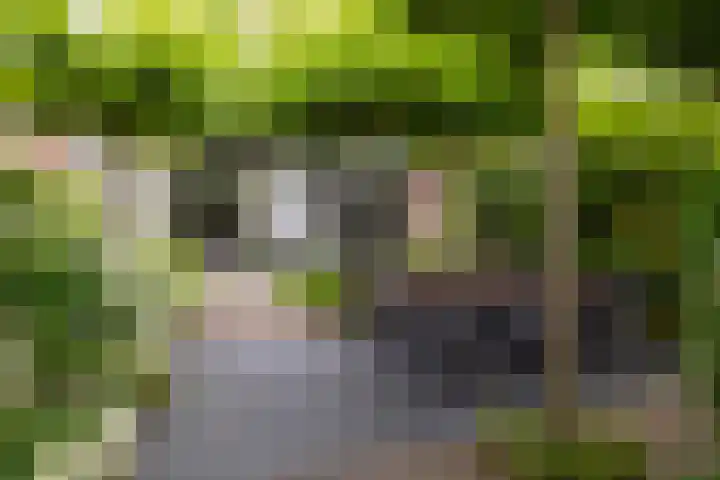 Kattensingel 46 Gouda thumbnail 60