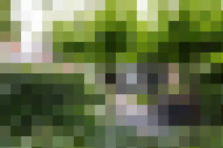 Kattensingel 46 Gouda thumbnail 61