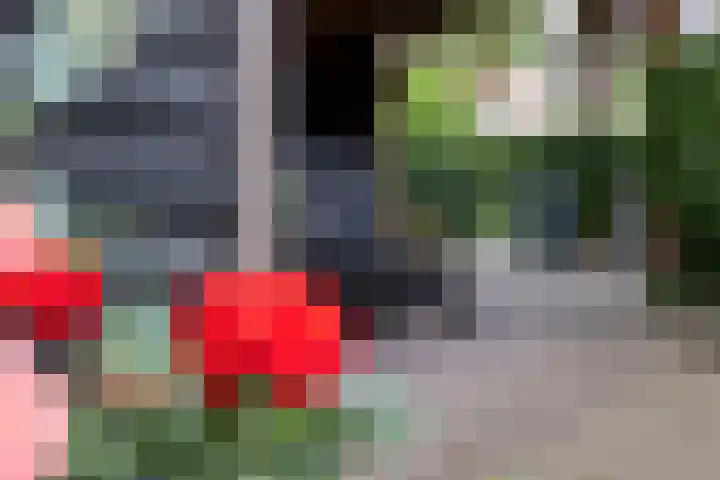 Kattensingel 46 Gouda thumbnail 63