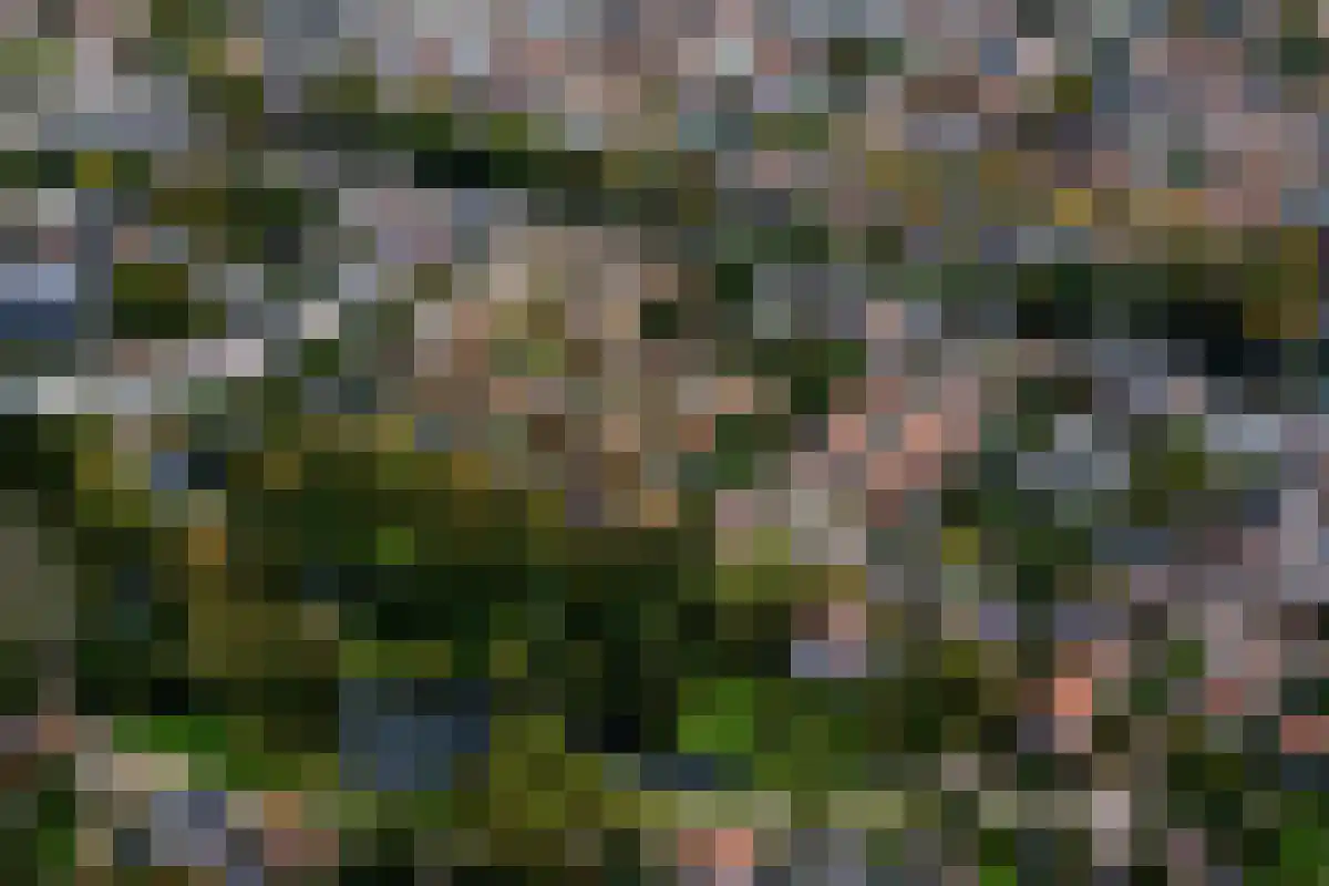 Kattensingel 62 c Gouda thumbnail 4