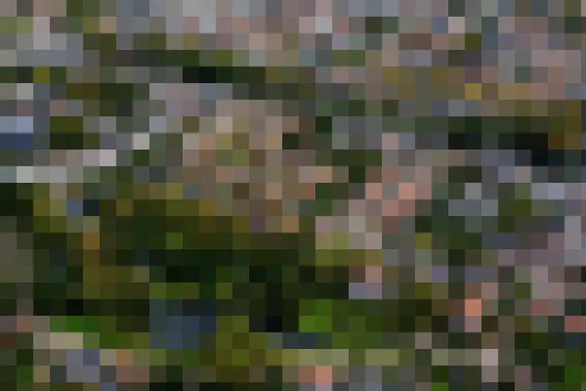 Kattensingel 62 d Gouda thumbnail 4