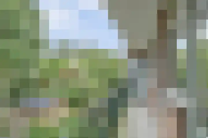 Kattensingel 77 a Gouda thumbnail 33