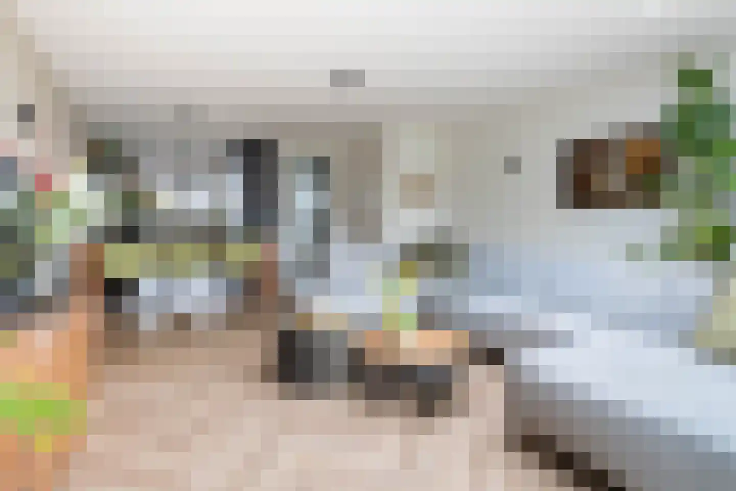 Kattenstaart 11 Berlicum thumbnail 11