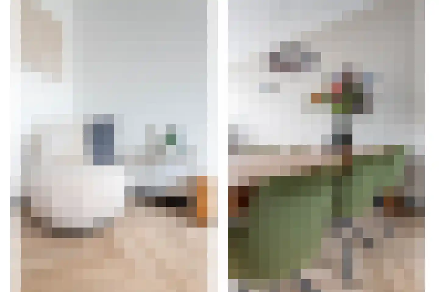 Kattenstaart 11 Berlicum thumbnail 14