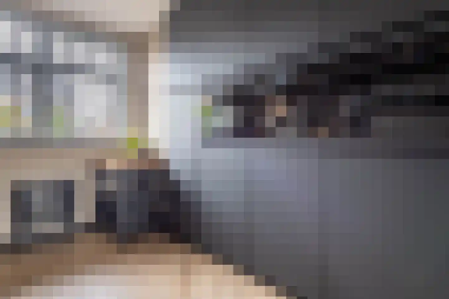 Kattenstaart 11 Berlicum thumbnail 19
