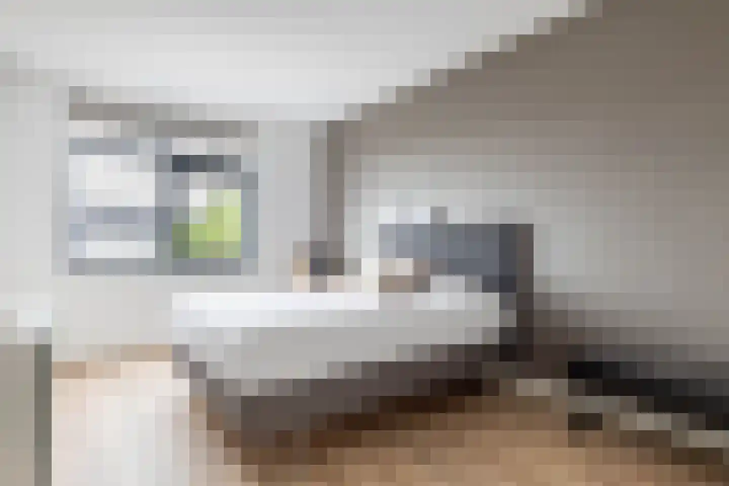 Kattenstaart 11 Berlicum thumbnail 24