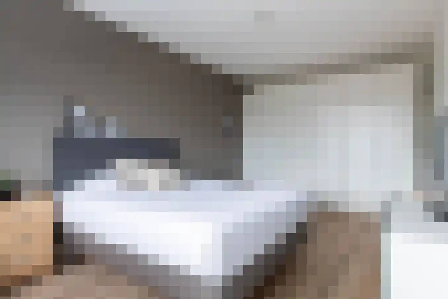 Kattenstaart 11 Berlicum thumbnail 25