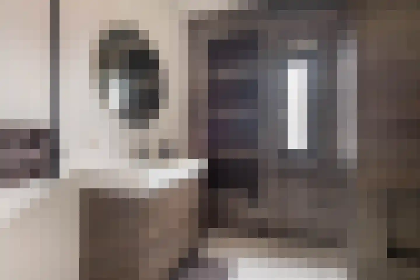 Kattenstaart 11 Berlicum thumbnail 31